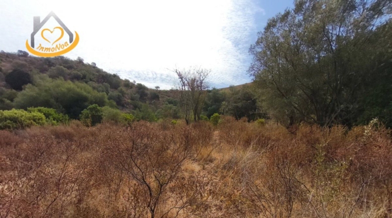 Huelva - Sanlúcar de Guadiana - 11885m2