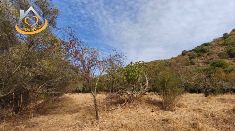 Huelva - Sanlúcar de Guadiana - 11885m2
