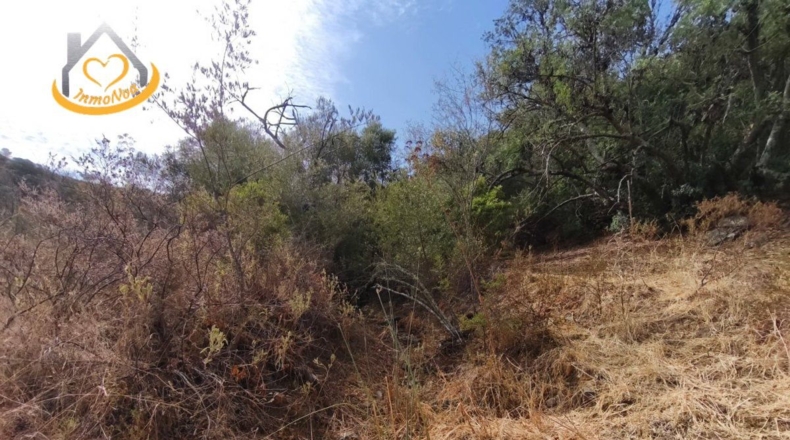 Huelva - Sanlúcar de Guadiana - 11885m2