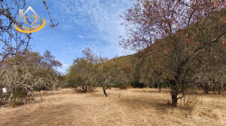 Huelva - Sanlúcar de Guadiana - 11885m2