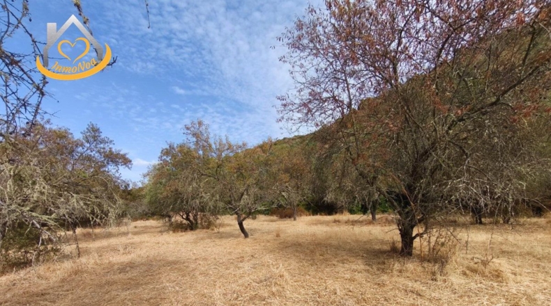 Huelva - Sanlúcar de Guadiana - 11885m2