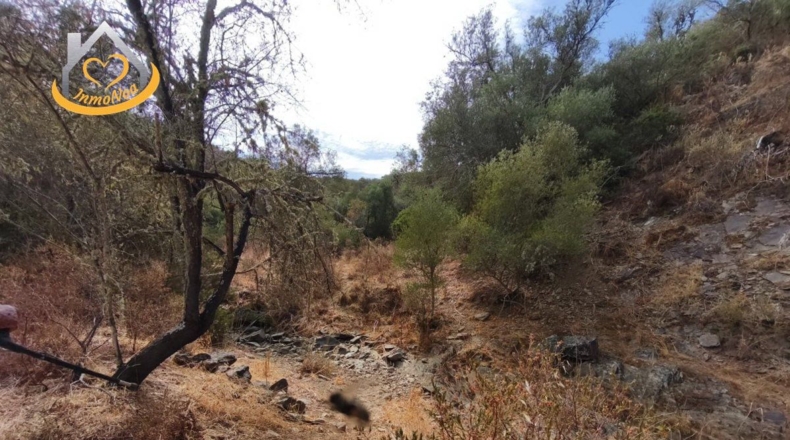 Huelva - Sanlúcar de Guadiana - 11885m2