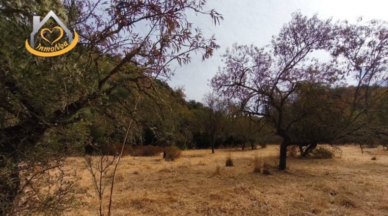 Huelva - Sanlúcar de Guadiana - 11885m2