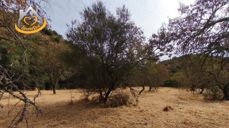 Huelva - Sanlúcar de Guadiana - 11885m2