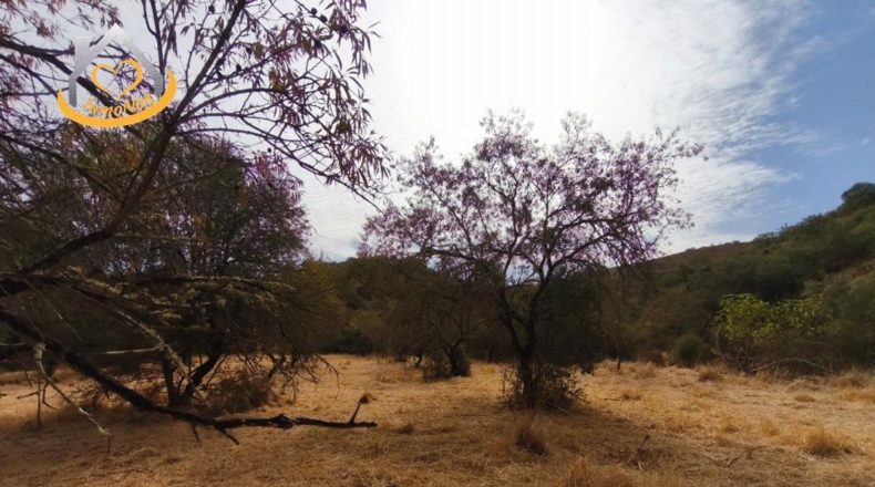 Huelva - Sanlúcar de Guadiana - 11885m2