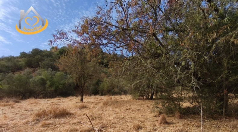 Huelva - Sanlúcar de Guadiana - 11885m2