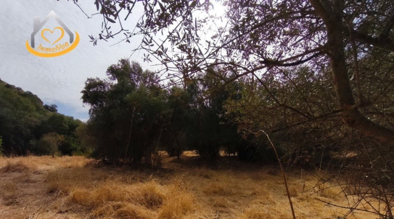 Huelva - Sanlúcar de Guadiana - 11885m2