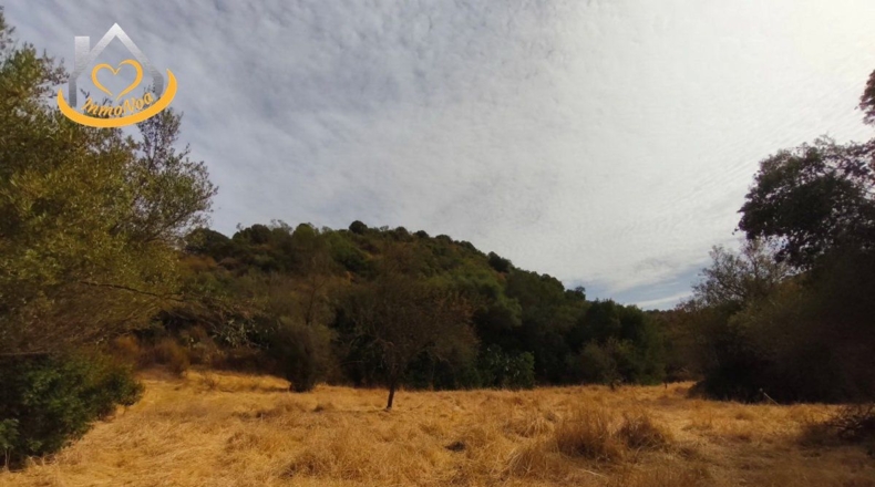 Huelva - Sanlúcar de Guadiana - 11885m2