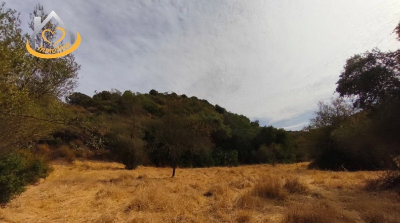 Huelva - Sanlúcar de Guadiana - 11885m2