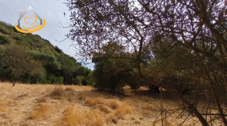 Huelva - Sanlúcar de Guadiana - 11885m2