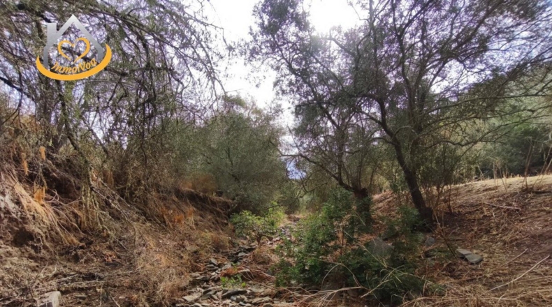 Huelva - Sanlúcar de Guadiana - 11885m2