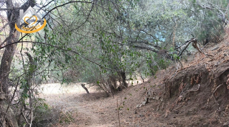 Huelva - Sanlúcar de Guadiana - 11885m2