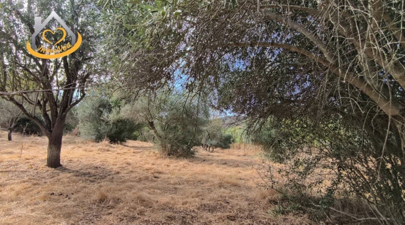 Huelva - Sanlúcar de Guadiana - 11885m2