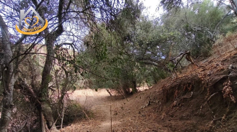 Huelva - Sanlúcar de Guadiana - 11885m2