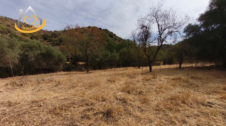 Huelva - Sanlúcar de Guadiana - 11885m2