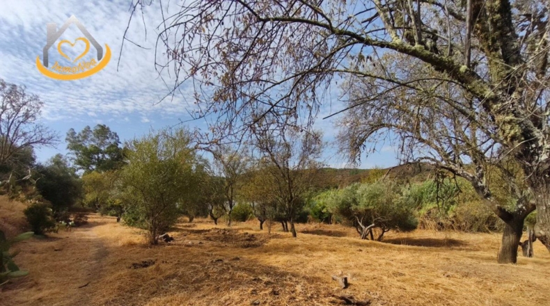 Huelva - Sanlúcar de Guadiana - 11885m2