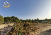 Rural estate for sale in Cartaya ref: TR350161 photo