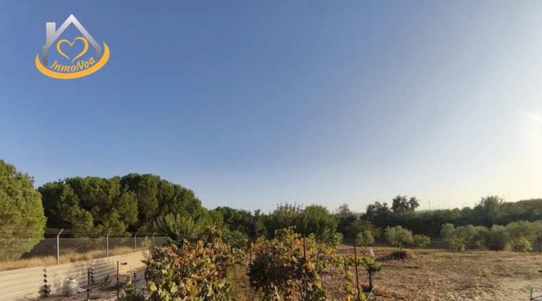 Huelva - Cartaya - 6516m2