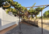 Rural estate for sale in Cartaya ref: TR350161 photo