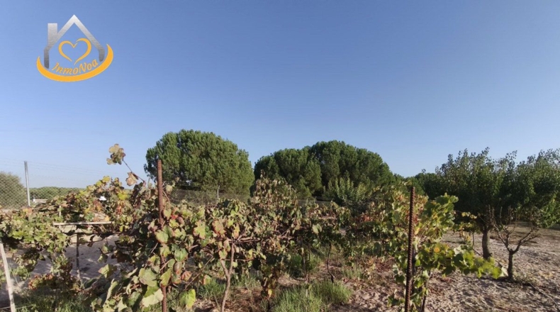 Huelva - Cartaya - 6516m2