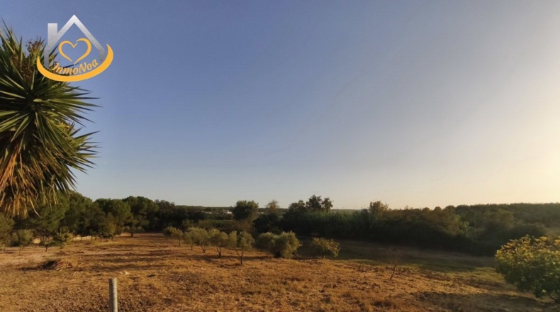 Huelva - Cartaya - 6516m2