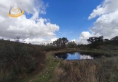 Finca rústica en venda a Puebla de Guzmán ref.: TR361229 foto