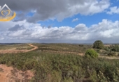 Finca rústica en venda a Puebla de Guzmán ref.: TR361229 foto