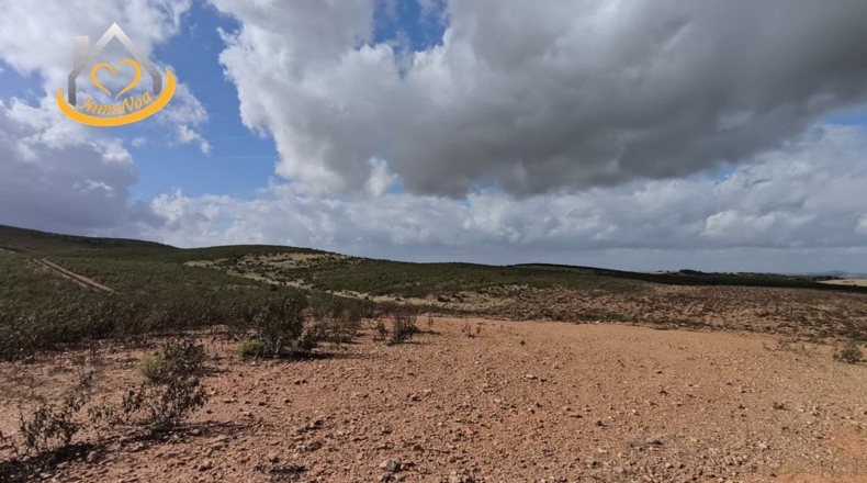 Huelva - Puebla de Guzmán - 1500000m2