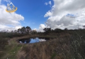 Finca rústica en venda a Puebla de Guzmán ref.: TR361229 foto