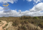 Finca rústica en venda a Puebla de Guzmán ref.: TR361229 foto