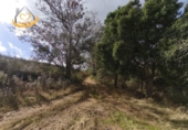 Finca rústica en venda a Puebla de Guzmán ref.: TR361229 foto
