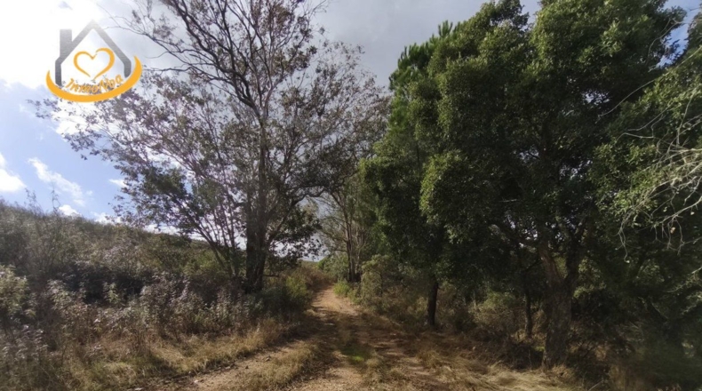 Huelva - Puebla de Guzmán - 1500000m2
