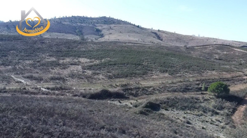 Huelva - Puebla de Guzmán - 1500000m2