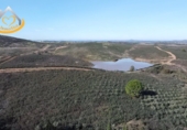 Finca rústica en venda a Puebla de Guzmán ref.: TR361229 foto