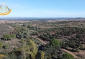 Finca rústica en venda a Puebla de Guzmán ref.: TR361229 foto