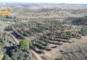 Finca rústica en venda a Puebla de Guzmán ref.: TR361229 foto