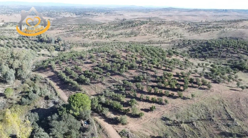 Huelva - Puebla de Guzmán - 1500000m2