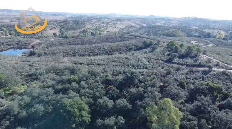 Huelva - Puebla de Guzmán - 1500000m2