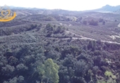 Finca rústica en venda a Puebla de Guzmán ref.: TR361229 foto