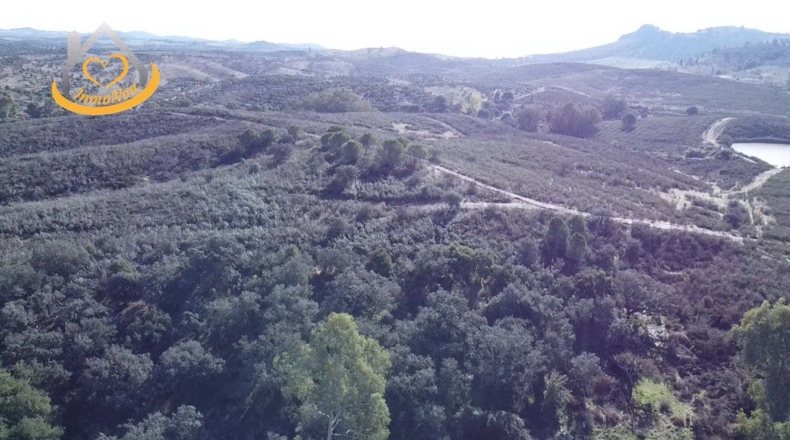 Huelva - Puebla de Guzmán - 1500000m2