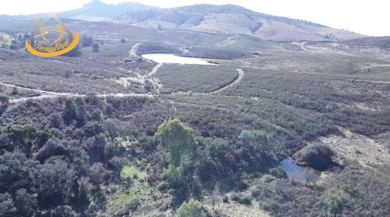 Huelva - Puebla de Guzmán - 1500000m2