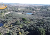 Finca rústica en venda a Puebla de Guzmán ref.: TR361229 foto