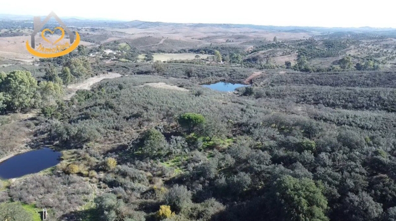 Huelva - Puebla de Guzmán - 1500000m2