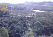 Finca rústica en venda a Puebla de Guzmán ref.: TR361229 foto