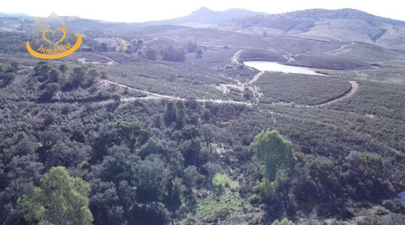 Huelva - Puebla de Guzmán - 1500000m2