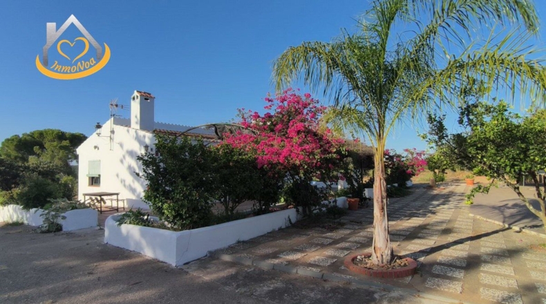 Huelva - Ayamonte - 16000m2