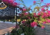 Земельный участок на продажу в городе Ayamonte. Фото