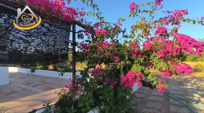 Huelva - Ayamonte - 16000m2