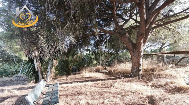 Huelva - Ayamonte - 16000m2