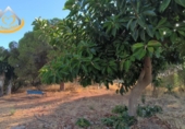 Земельный участок на продажу в городе Ayamonte. Фото